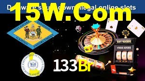 133Br App